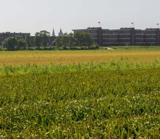 Provincie besluit dat toch geheel Bronsgeest in Noordwijk bebouwd mag worden