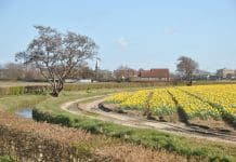 Nieuwe actie om het erf bij agrarische bedrijven te vergroenen