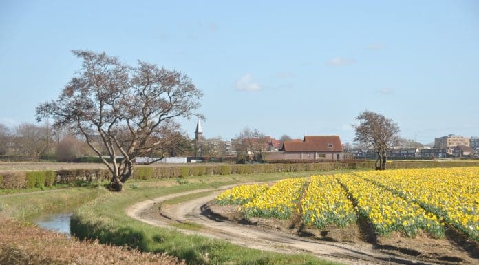 Nieuwe actie om het erf bij agrarische bedrijven te vergroenen