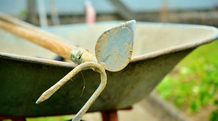 Groenonderhoud Noordwijk voldoet op meerdere plekken niet aan afspraken