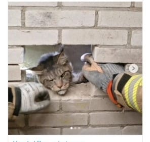 thumbnail_Schermafbeelding 2024-05-14 om 06.31.20 (1)