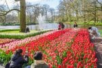 Keukenhof sluit seizoen af met 1,4 miljoen bezoekers