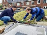 Bloembinderspark vergroend door aanleg van sedumdaken