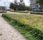 Bijeenkomst over verduurzaming: Patatje Duurzaamheid