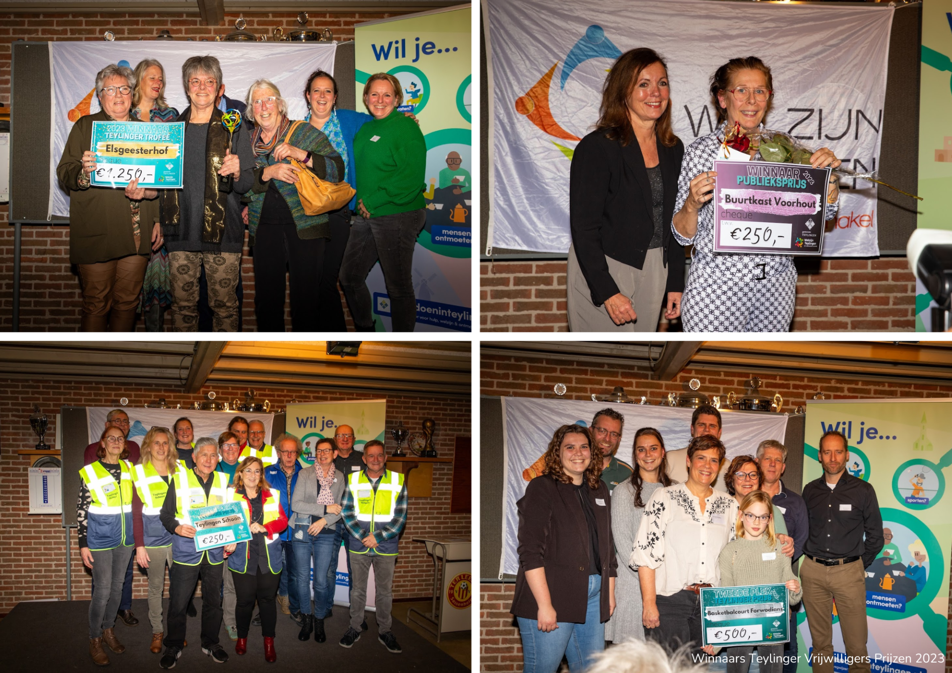 thumbnail_beeld Teylinger prijzen