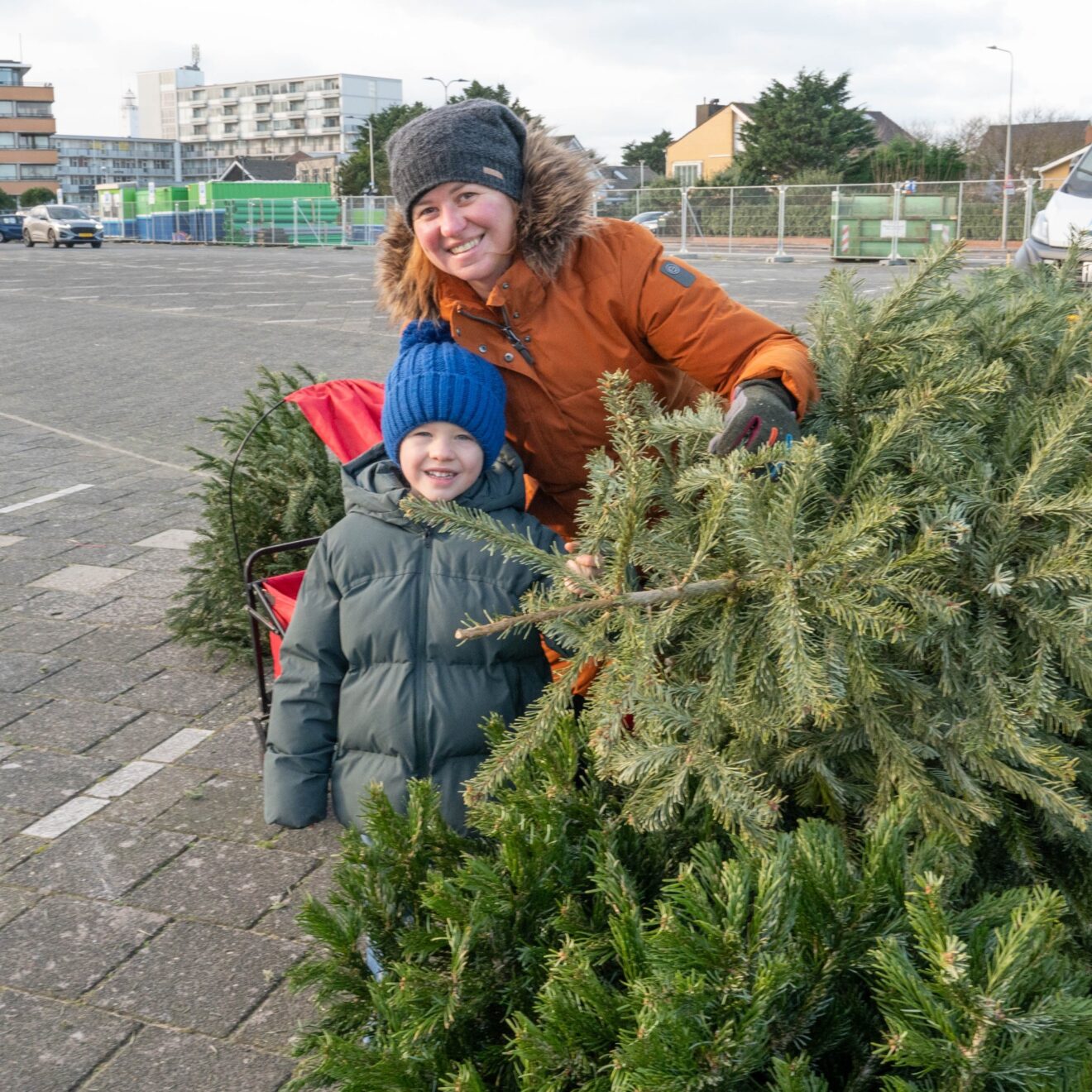 Kerstboom inleveren: de spelregels in Hillegom, Lisse, Teylingen en Noordwijk