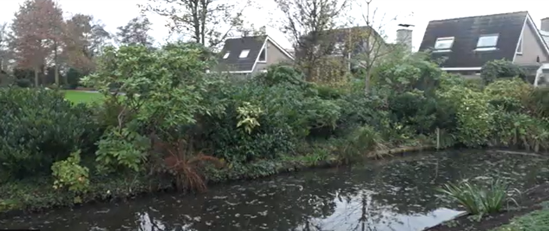 watertuin