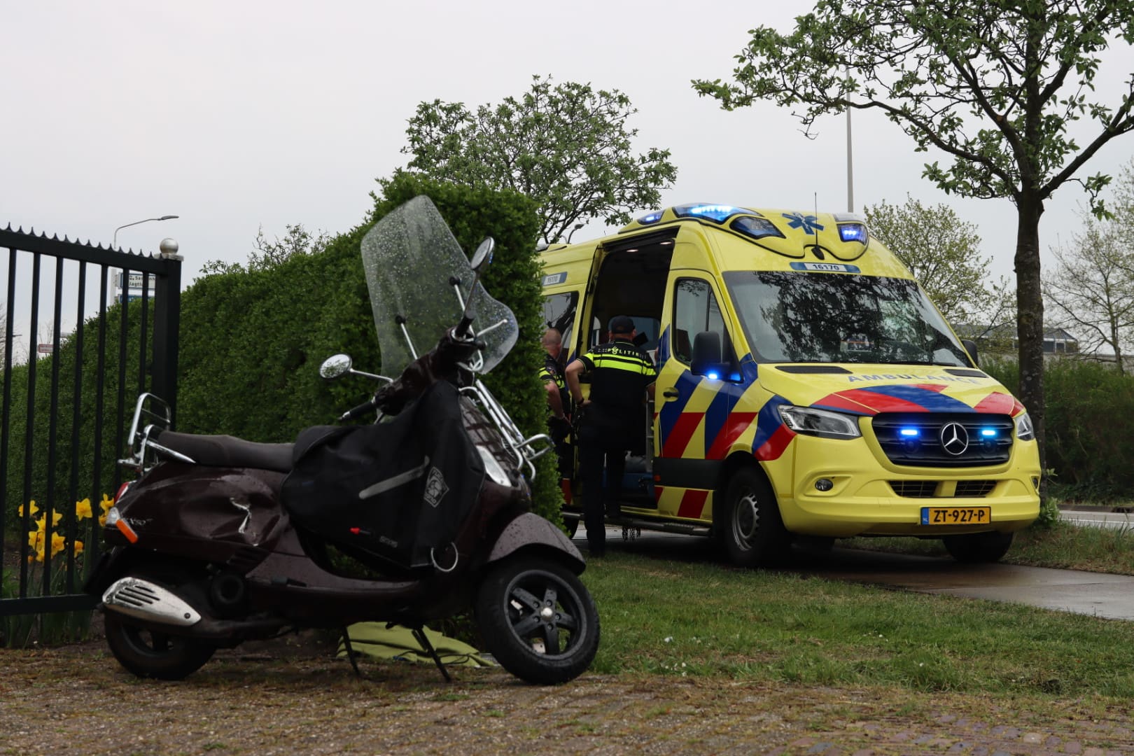 20250415153930_IMG_2510