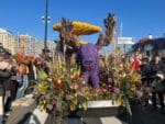 Dagboek van het Bloemencorso 2025: gezellige drukte in de zon