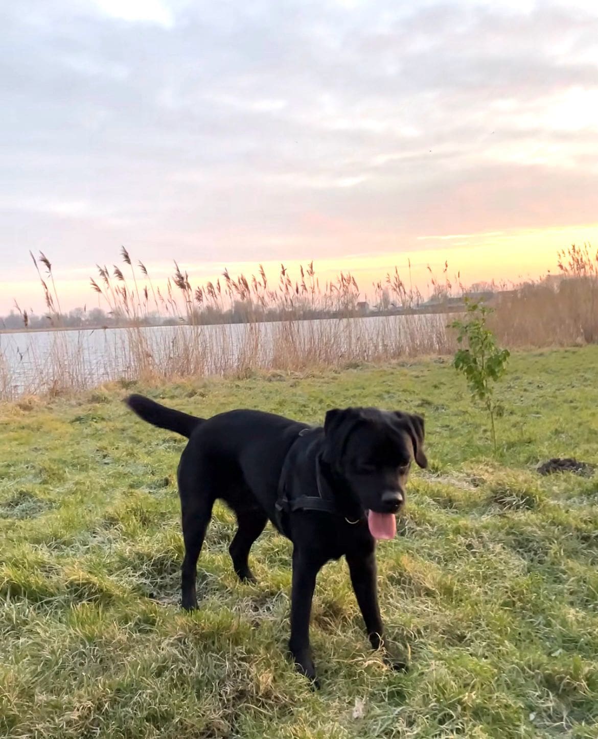 WhatsApp Image 2025-04-29 at 09.52.34