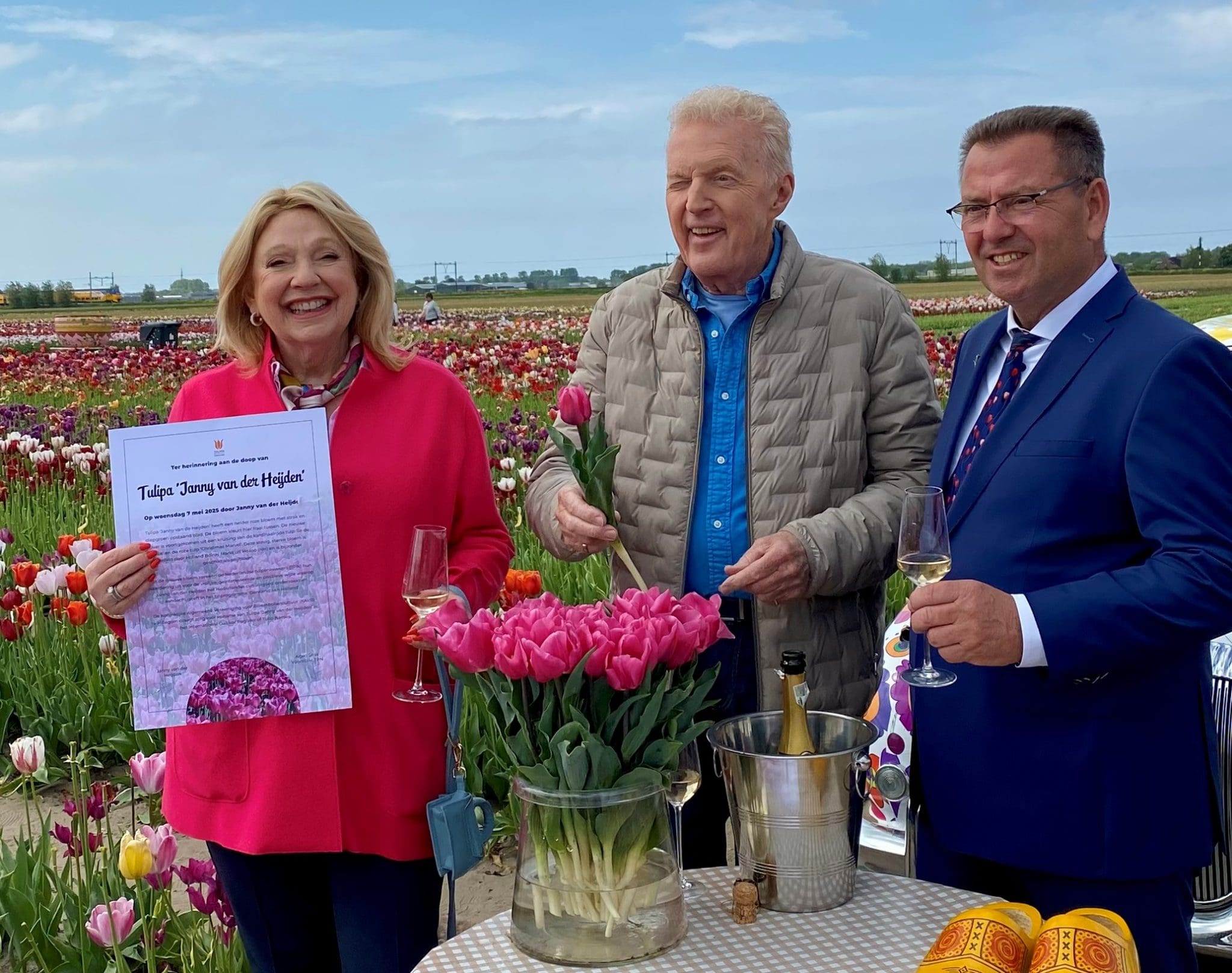 André van Duin maakt tulpenvelden Hillegom onveilig; eigen tulp voor ...