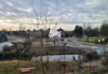 Nieuwbouwproject Teydelijk beschoten: ‘met meer dan vermoedelijk een luchtbuks’