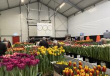 Hobaho Lisse wint standhoudersprijs vaktentoonstelling