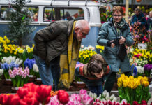 Lenteflora trekt ook op nieuwe locatie veel bekijks