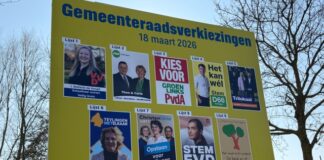 Analyse verkiezingen: dit beloven de politieke partijen in Teylingen