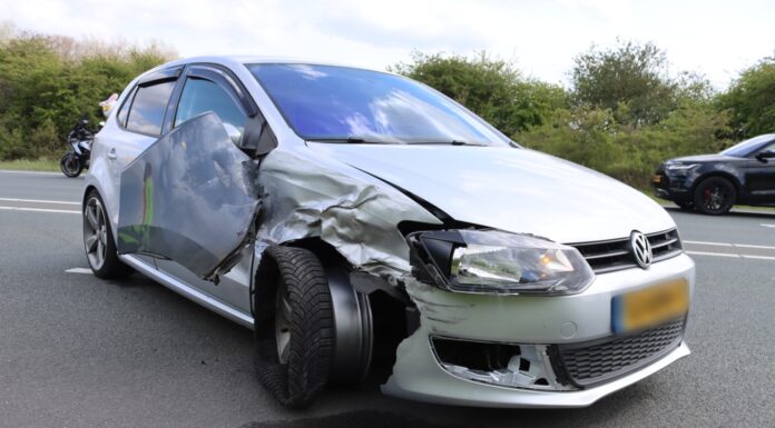 Botsing na overstekende eendjes op N206, babyeendje overleeft het niet