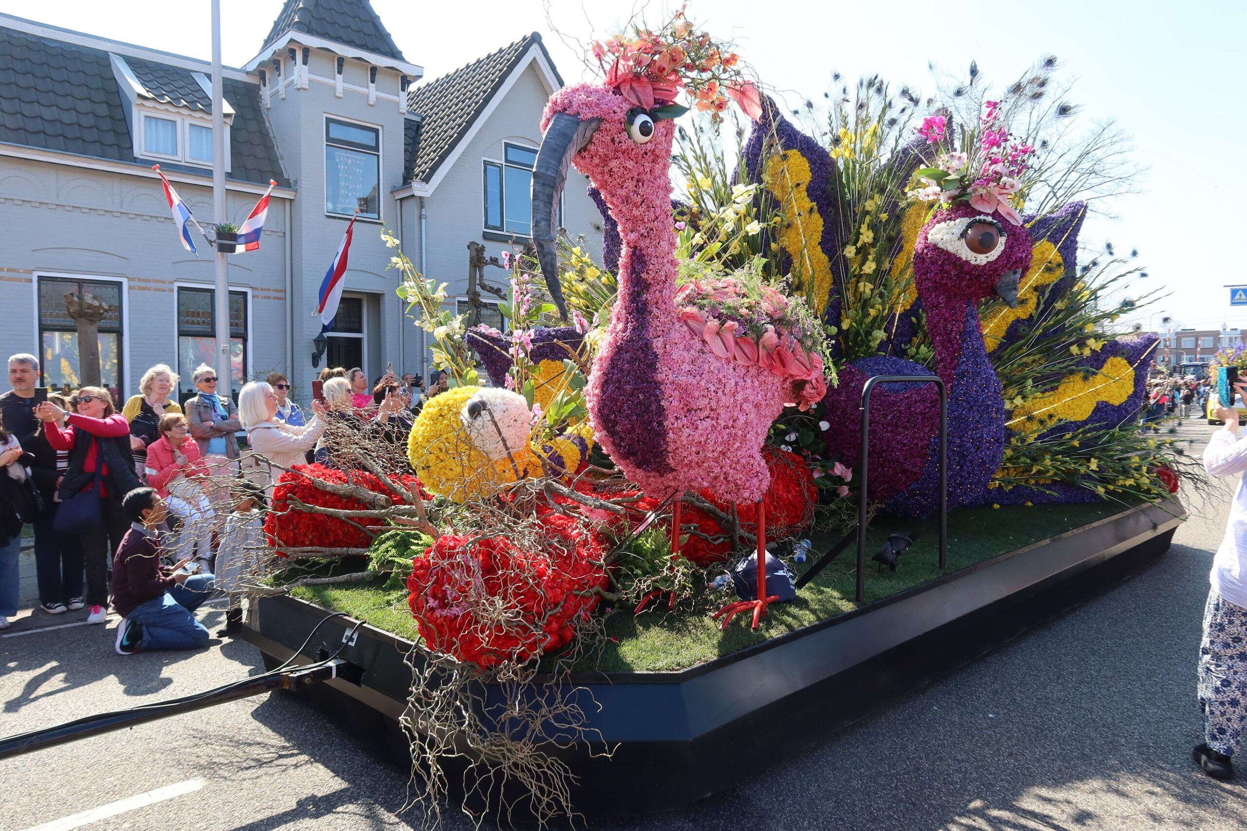 Publiek welkom bij opbouwdagen Bloemencorso Bollenstreek