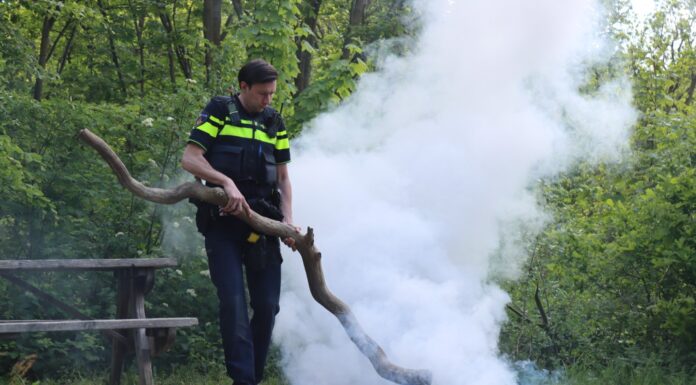 Vier jongens naar Bureau-Halt na brandstichting in bos Noordwijkerhout