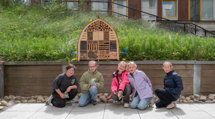 Kinderraad plaatst insectenhotel bij Groot Hoogwaak