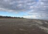 Veel zeeschuim voor de kust, hoe gevaarlijk is dat?