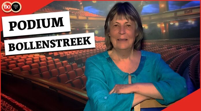 Podium: Janneke Termeer over haar expositie Vrolijk Verknipt