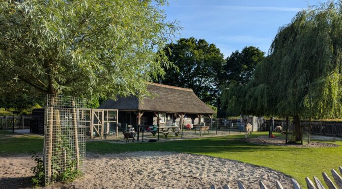 Mogelijk vogelgriep in Park Rusthoff: park weer open, kinderboerderij blijft dicht