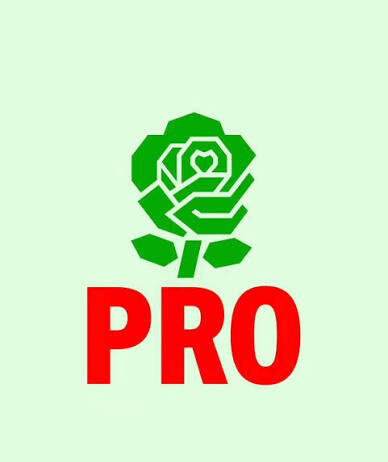 PRO Bollenstreek opgericht