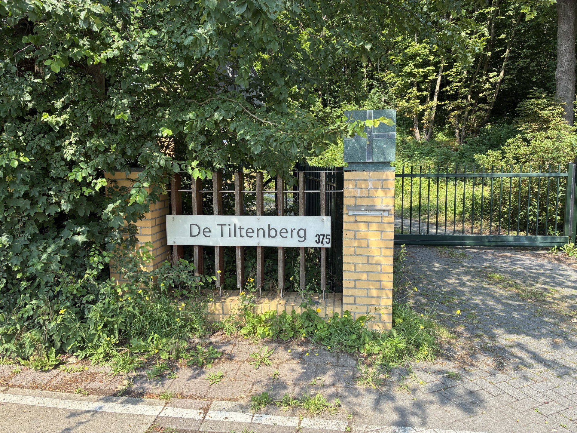 062226tiltenberg2