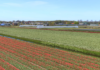 GOM ziet weer perspectief