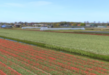 GOM ziet weer perspectief