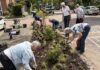 Buurtgroenbudget moet Lisse vergroenen