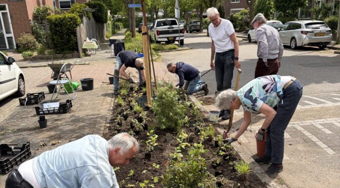 Buurtgroenbudget moet Lisse vergroenen