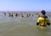 Cursus muizwemmen Noordwijk: van levensbelang