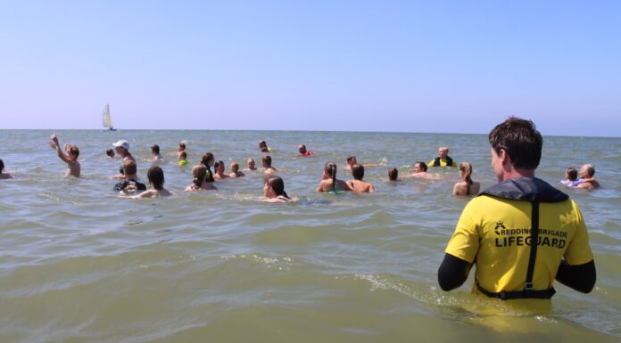 Cursus muizwemmen Noordwijk: van levensbelang