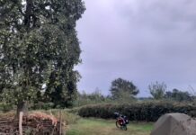 Moedertje Groen zoekt tuinen voor verblijf langzame reizigers
