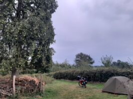 Moedertje Groen zoekt tuinen voor verblijf langzame reizigers
