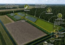 Subsidie voor Energietuin Lisse
