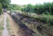 Brandweer met twaalf voertuigen opgeroepen voor natuurbrand bij Noordwijk