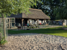 Geen vogelgriep, maar wat dan wel? Oorzaak vogelsterfte in Sassenheims park nog onduidelijk