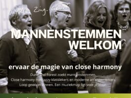 Dune & Forest zoekt mannenstemmen voor kerstprojectkoor