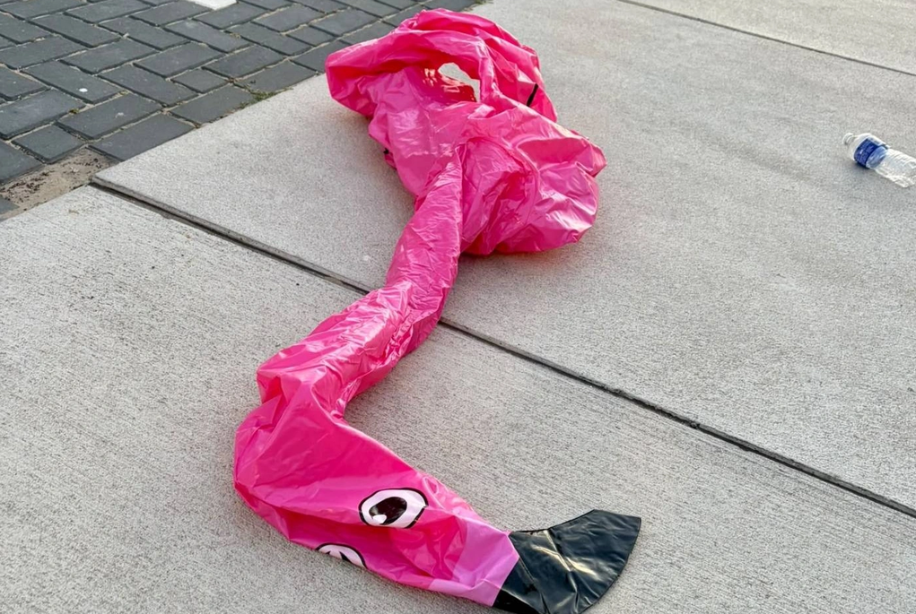 081326 flamingo