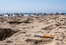 Beach Cleanup 2026: het strand is weer aan kant