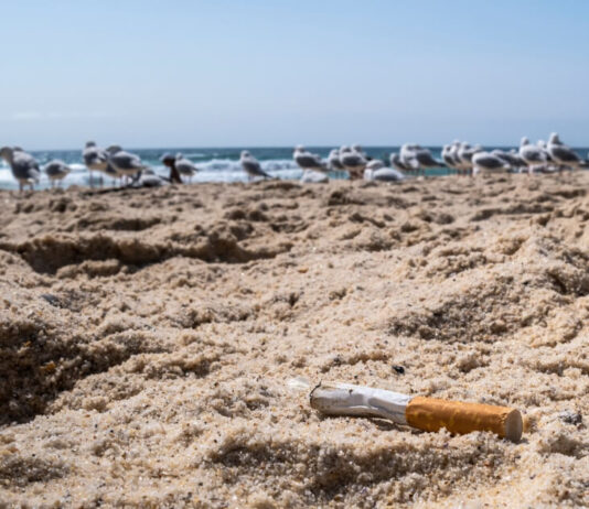 Beach Cleanup 2026: het strand is weer aan kant