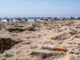 Beach Cleanup 2026: het strand is weer aan kant