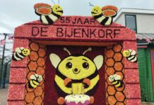 ‘De Bijenkorf’ opnieuw overall winnaar Dahliamozaïeken