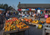 Jaarlijkse pompoenmarkt op Veldzicht