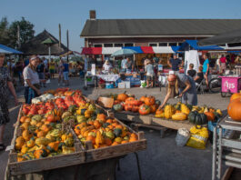Jaarlijkse pompoenmarkt op Veldzicht