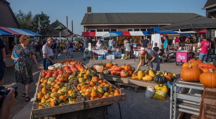 Jaarlijkse pompoenmarkt op Veldzicht