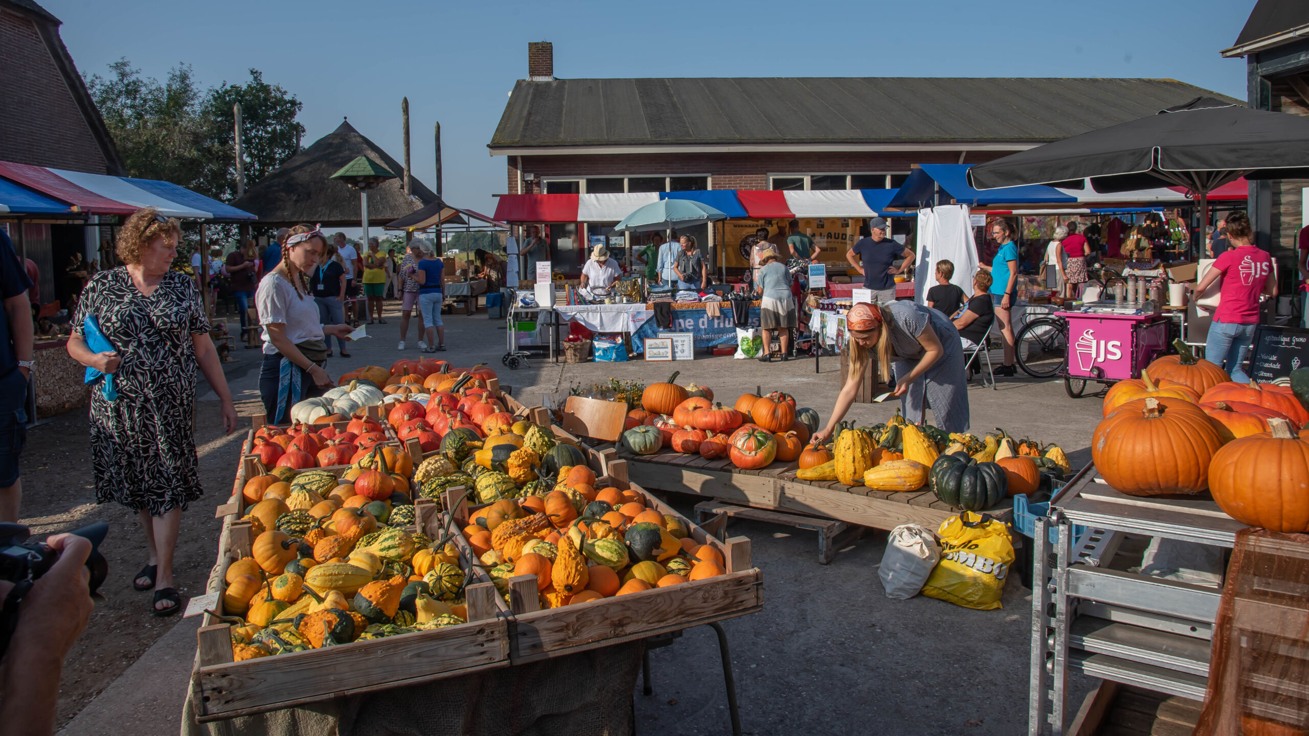 Pompoenmarkt (2)