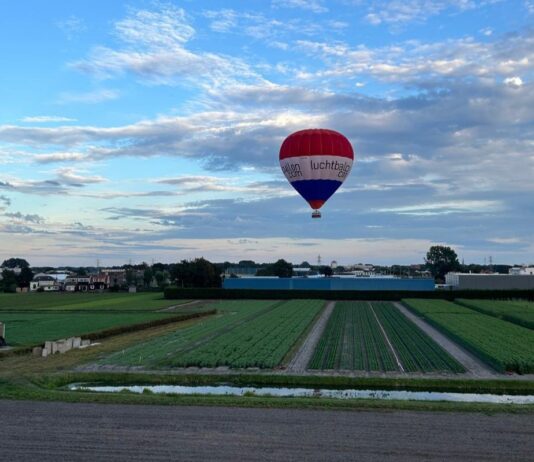 Twee heteluchtballonnen landen in bollenveld in Voorhout